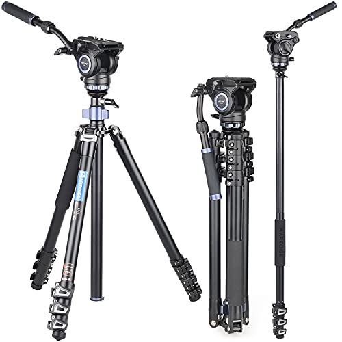 ARTCISE RF70 73,4"/186,5 cm Professionelles Hochleistungs-Videostativ Fast Flip Lock Panorama-Fluidkopf mit halber Kugelschale für digitale DSLR-Kamera-Camcorder von ARTCISE