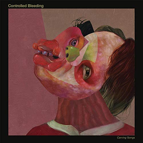 Carving Songs [Vinyl LP] von ARTOFFACT