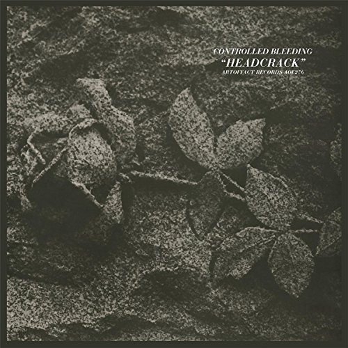 Headcrack [Vinyl LP] von ARTOFFACT