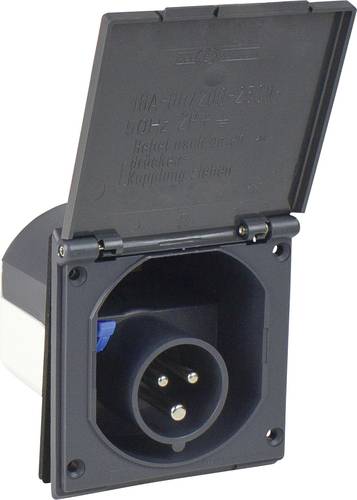 AS Schwabe 61492 CEE Stecker 16A 230V 1St. von AS Schwabe