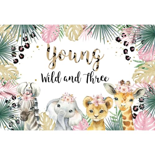 ASDCXZ 3. Geburtstag Hintergrund 1.5x1m, Young Wild and Three Tier Geburtstag Fotowand Hintergrund, Vinyl Fotobox Hintergrund für Kinder Junge Mädchen 3 Geburtstag Party Kuchen Tisch Dekorieren von ASDCXZ