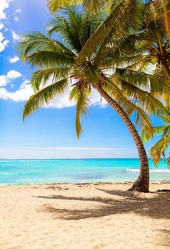 ASDCXZ Strand Hintergrund 1.8x2.5m, Sommer Am Meer Tropisch Palmen Fotowand, Vinyl Fotobox für Geburtstag Baby Dusche Hawaii Thema Party, Portrait Fotostudios ASDCXZ Strand Hintergrund 1.8x2.5m, Sommer Am Meer Tropisch Palmen Fotowand, Vinyl Fotobox für Geburtstag Baby Dusche Hawaii Thema Party, Portrait Fotostudios von ASDCXZ
