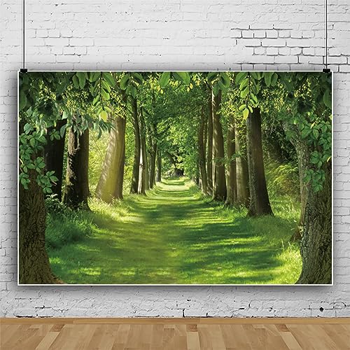 ASDCXZ Wald Foto Hintergrund 3x2.5m, Grün Blätter Dschungel Sonnenschein Fotowand, Vinyl Fotobox für Person Familie Fotografie, Portrait Fotostudios ASDCXZ Wald Foto Hintergrund 3x2.5m, Grün Blätter Dschungel Sonnenschein Fotowand, Vinyl Fotobox für Person Familie Fotografie, Portrait Fotostudios von ASDCXZ
