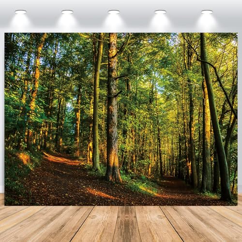 ASDCXZ Wald Fotowand Hintergrund 2.7x1.8m, Natur Verzauberte Grün Tropische Regenwald Dschungel Landschaft Sonnenschein Vinyl Fotografie Hintergrund Geburtstag Babydusche Party Foto Studio Requisiten ASDCXZ Wald Fotowand Hintergrund 2.7x1.8m, Natur Verzauberte Grün Tropische Regenwald Dschungel Landschaft Sonnenschein Vinyl Fotografie Hintergrund Geburtstag Babydusche Party Foto Studio Requisiten von ASDCXZ