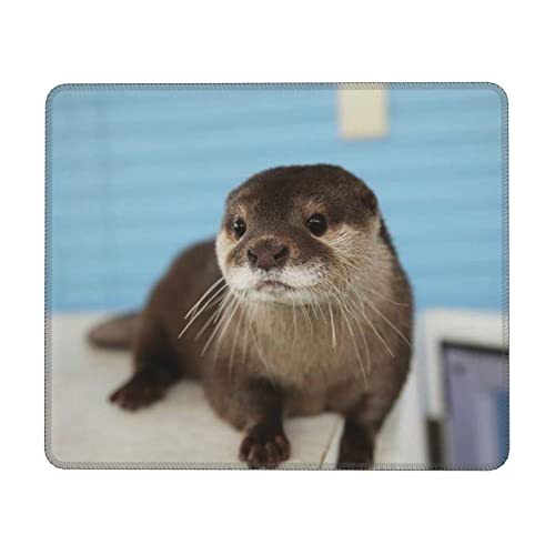 Niedliches Otter-Mauspad, wasserdichte Mauspads, Großpackung mit genähten Kanten für Computer, Laptop von ASEELO