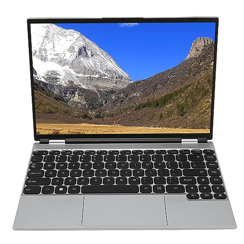 ASHATA 14 Zoll HD Laptop, für Intel J4105 1,50 GHz für Windows 11 Pro Laptop, 8 GB DDR4 RAM 1920 X 1200 IPS Bildschirm WiFi BT4.2 USB 3.0 X 2 0,3 MP Kamera Business Laptop (EU 8G+128G) von ASHATA