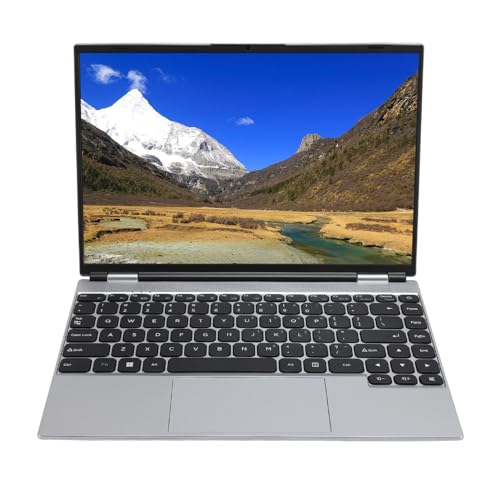 ASHATA 14 Zoll Laptop, Laptop für Windows 11pro für Intel, N5095 Prozessor 1920x1200 IPS Display 2,4G 5G Dual WiFi 8GB RAM Tragbares Notebook (8 GB + 1 TB EU-Stecker) von ASHATA