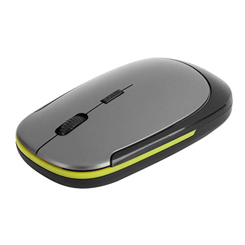 ASHATA 2.4G Wireless-Maus für Laptops, Ergonomische Computermaus mit USB-Empfänger, 3 Einstellbare DPI-Pegel, Einstellbare Optische 1600DPI-Maus, Plug and Play (Silber grau) von ASHATA