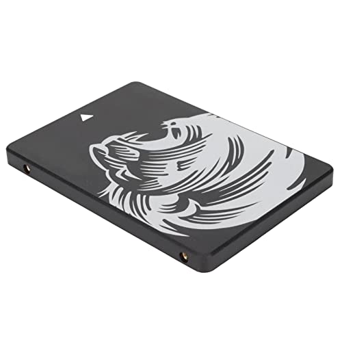 ASHATA Internes 2,5-Zoll-M.2-NGFF-III-SSD-Solid-State-Laufwerk, Lese-/Schreibgeschwindigkeit Bis zu 450/550 MB/s, Interne SSD, Kompatibel mit Laptop-PC-Desktop (256GB) von ASHATA