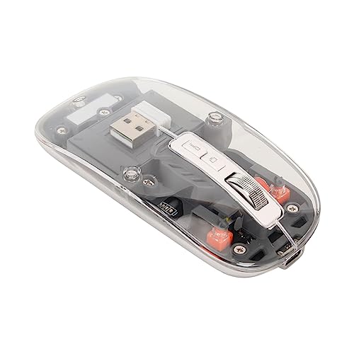 ASHATA Kabellose Maus, BT 5.1 & 2.4G Dual Mode Computer Mäuse mit Typ C Aufladung, Stiller klick, Cooles Transparentes Gehäuse, Ergonomisches Design, für PC, für OS X, für (Weltraum von ASHATA