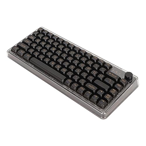 ASHATA Mechanische Gaming-Tastatur mit Dichtungsmontage und Transparenten Tastenkappen, RGB BT5.0 2,4 GHz Typ C, DREI Konnektivitätsmodi, Kratzfest, 2000-mAh-Akku (Black) von ASHATA