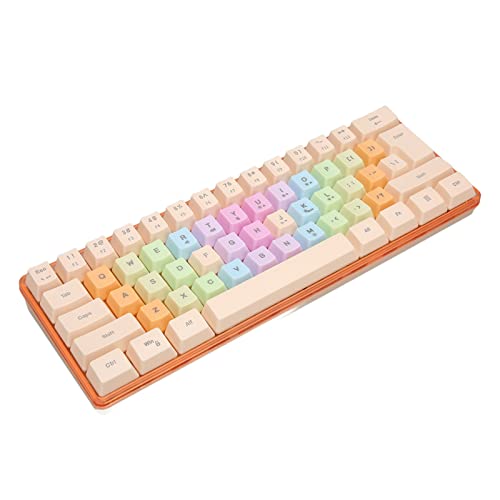 ASHATA Mechanische Tastatur mit 61 Tasten, Gaming Tastatur, Kompakte Abnehmbare Kabelgebundene Mechanische Tastatur mit RGB Hintergrundbeleuchtung, Bunte Tastenkappen für Gaming von ASHATA