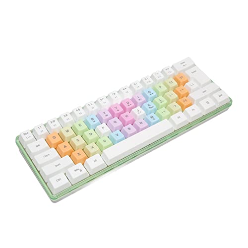 ASHATA Mechanische Tastatur mit 61 Tasten, Gaming Tastatur, Kompakte Abnehmbare Kabelgebundene Mechanische Tastatur mit RGB Hintergrundbeleuchtung, Bunte Tastenkappen für Gaming von ASHATA