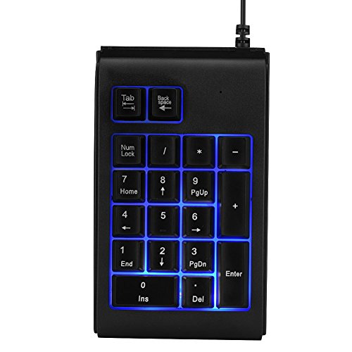 Nummernblock Numeric Keypad, Tragbare Mechanischer Nummernblock USB Ziffernblock,Ergonomisch 19 Tasten Nummernblock Externer Tastatur-Pad für Laptop Desktop PC Schwarz von ASHATA