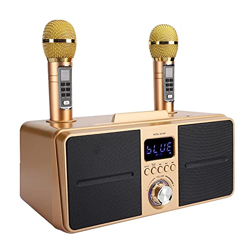 ASHATA Tragbares Karaoke-Mikrofonsystem-Set, mit Dual-Wireless-Mikrofon, Bluetooth 4.2, Speicherkarte, AUX, USB-Flash-Disk für Heim-Karaoke, Meeting, Party, Kirche Usw.(Gold) von ASHATA