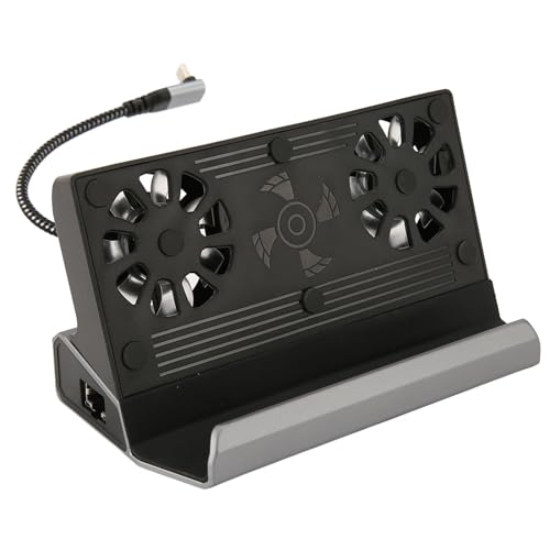 Dockingstation Kompatibel mit Steam Deck, 10 in 1 für Rog Ally Dock, Station mit 5 USB 3.0 2.0 Dual-Lüfter, HD-Multimedia-Schnittstelle, 4K bei 60 Hz, 100 W Aufladung von ASHATA