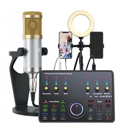 Live Soundkarten Audiomischer, Sprachwechsler Soundkarten Mischpult, Intelligente Rauschunterdrückung, 48 kHz Ausgang, 16 Bit, 12 Arten von Soundeffekten, für Mobiltelefon PC von ASHATA