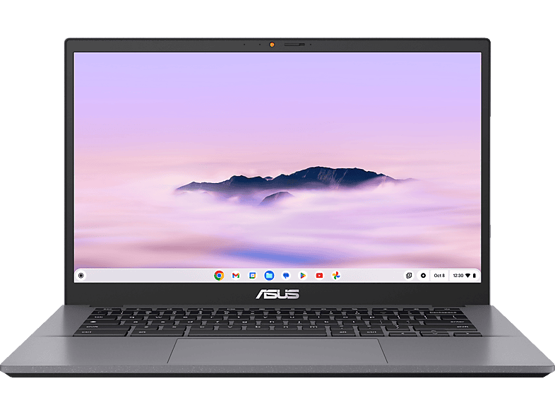 ASUS CX34 CX3402CBA-MW0159, Chromebook, mit 14 Zoll Display, Intel® Core™ i3,i3-1215U Prozessor, 8 GB RAM, 256 Flash, UHD Graphics, Grau, Google Chrome OS von ASUS