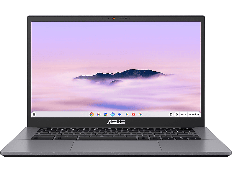ASUS Chromebook Plus CX34 CX3402CVA-PQ0489, Plus, mit 14 Zoll Display, Intel® Core™ i3,i3-1315U Prozessor, 8 GB RAM, 256 SSD, UHD Graphics, Rocky Grey, Google ChromeOS von ASUS