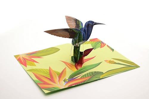 Kolibri-Pop-Up-Karte Vogel 3D-Karte Grußkarten für Mama, Karte für Frau, Jahrestag Pop Up Karten, handgefertigte Karte, Geschenke für Naturliebhaber von ASVP Shop