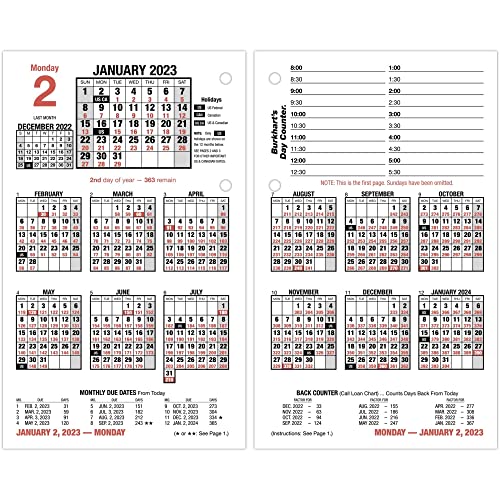 AT-A-GLANCE 2023 Tageskalender Nachfüllpackung, 11,4 x 19,8 cm, Nachfüllpackung B, lose Blätter, Burkhart's Day Counter (E71250) von AT-A-GLANCE