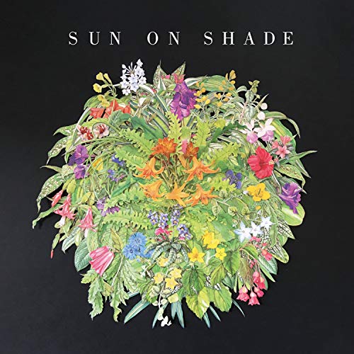 Sun On Shade von ATO Records