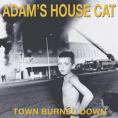 Adams House Cat - World Burned Down von ATO