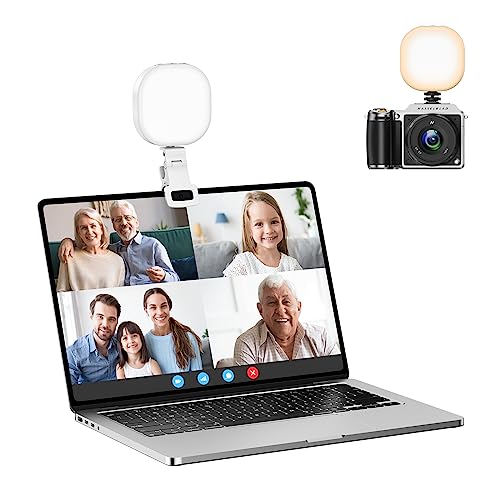 ATUMTEK Einstellbares Videokonferenz Licht,Adjustable Angle LED Video Konferenz-Beleuchtungsset mit 5 Lichtmodi (3000K-7200K) für TikTok Live-Streaming/Computerkonferenz/Makeup -Weiss von ATUMTEK