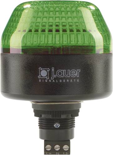 Auer Signalgeräte Signalleuchte LED IBL 802506405 Grün Dauerlicht, Blinklicht 24 V/DC, 24 V/AC von AUER SIGNALGERÄTE
