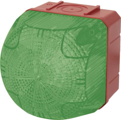 Auer Signalgeräte Signalleuchte LED QDS 874166313 Grün Grün Dauerlicht, Blinklicht 230 V/AC Auer Signalgeräte Signalleuchte LED QDS 874166313 Grün Grün Dauerlicht, Blinklicht 230 V/AC von AUER SIGNALGERÄTE