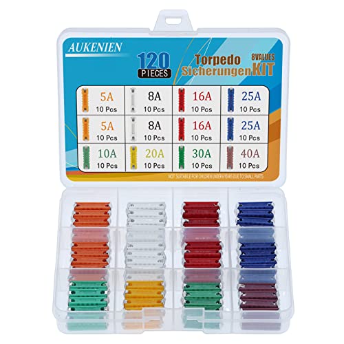 AUKENIEN 8 Values 120pcs Torpedosicherungen 5A 8A 10A 16A 20A 25A 30A 40A Torpedo Sicherungen Traktor Keramik Set Abschmelzsicherung Torpedosicherung Keramiksicherung für Oldtimer von AUKENIEN