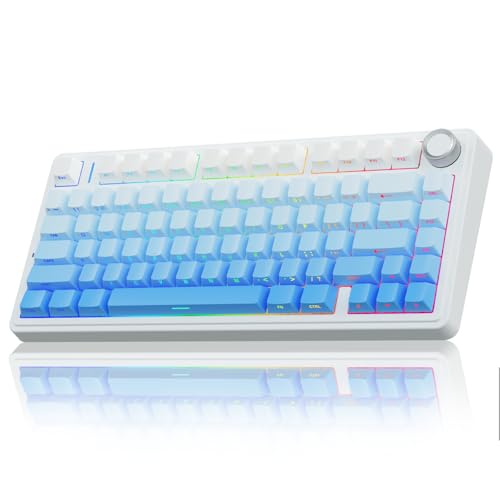 AULA F75 Mechanische Tastatur Gaming,2.4GHz/Type-C/BT5.0 Kabellos Gaming Tastatur 75 Prozent,Seitlich Graviert,Gasket Struktur,Hot-Swap Wireless Tastatur RGB,QWERTY (Blau mit Farbverlauf) von AULA