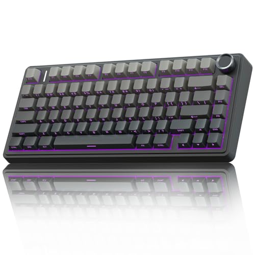 AULA F75 PRO Mechanische Tastatur Gaming,2.4GHz/Type-C/BT5.0 Mechanical Keyboard,Seitlich Graviert,Fünfschichtige Polsterung Struktur,QWERTY,Hot-Swap Kabellos Gaming Tastatur 75 Prozent (Grau) von AULA
