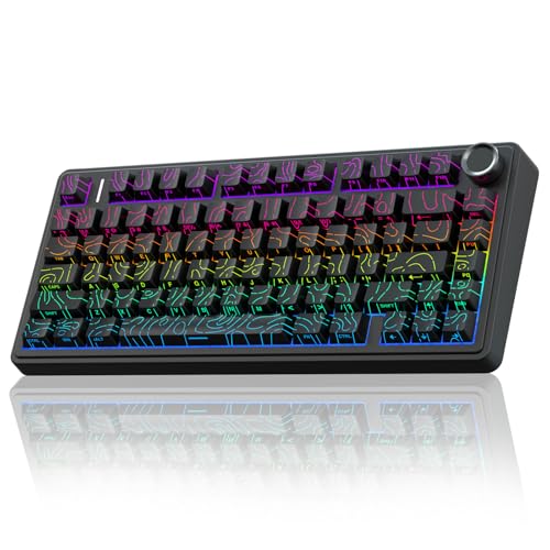 AULA F75 Mechanische Tastatur Gaming,2.4GHz/Type-C/BT5.0 Kabellos Gaming Tastatur 75 Prozent,Seitlich Graviert,Gasket Struktur,Hot-Swap Wireless Tastatur RGB,QWERTY (Schwarz) von AULA