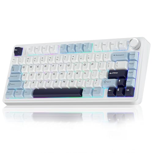 AULA F75 Mechanische Tastatur Gaming,2.4GHz/Type-C/BT5.0 Mechanical Keyboard mit Knopf,Fünfschichtige Gefüllte Struktur,RGB,QWERTY,Hot-Swap,Creamy Kabellos Gaming Tastatur 75 Prozent (Gletscherblau) von AULA