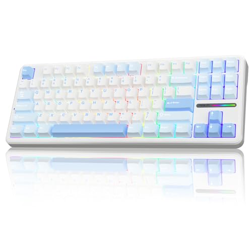 AULA F87 Kabellose Gaming Tastatur 75 Prozent,2.4G/Type-C/BT5.0 TKL Mechanical Keyboard,Fünfschichtige Gefüllte Struktur,Creamy Sound,Hot-Swap,QWERTY US-Layout,RGB Tastatur Mechanisch (Meersalzblau) von AULA