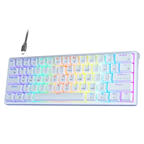AULA Gaming Keyboard 60 Prozent - Anpassbare RGB-Beleuchtung für Gaming Tastatur Klein für PC, Hot-Swap-fähig Beleuchtete Tastatur Mechanisch, Typ-C Gaming Tastatur 60 Prozent，Roten Schaltern. von AULA