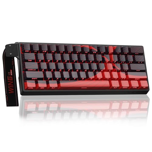 AULA WIN60HE MAX Mechanische Gaming Tastatur mit Kabel,Hall Effect Magnetic Switches,Rapid Trigger,Einstellbare Betätigung,Seitlich Graviert,60% RGB Tastatur für PC/Mac (Rot) von AULA