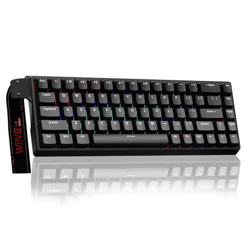 AULA WIN68 HE Mechanische Gaming Tastatur mit Kabel,Hall Effect Magnetic Switches,Rapid Trigger,Einstellbare Betätigung,60% RGB Tastatur für PC/Mac,QWERTY (Schwarz) von AULA