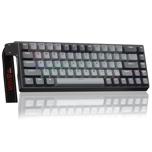 AULA WIN68HE Pro Mechanische Gaming Tastatur mit Kabel,Hall Effect Magnetic Switches,Rapid Trigger,Einstellbare Betätigung,60% RGB Tastatur für PC/Mac,QWERTY (Grau) von AULA