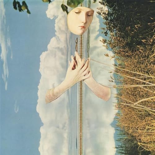 When Birds Fly,the Eyes of Heaven Can Rest [Vinyl LP] von AURORA BOREALIS