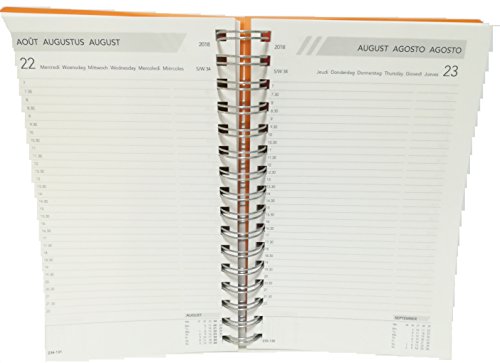 Daily Wire-O-Kalender, 14 cm x 21 cm, sortiert von AURORA