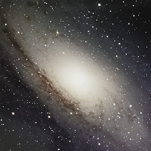 Andromeda Skyline (Beer, Bone & Black Splatter Vinyl) [Vinyl LP] von AVANTGARDE MUSIC