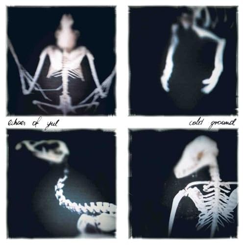 Cold Ground-Digi Cold Ground-Digi von AVANTGARDE MUSIC
