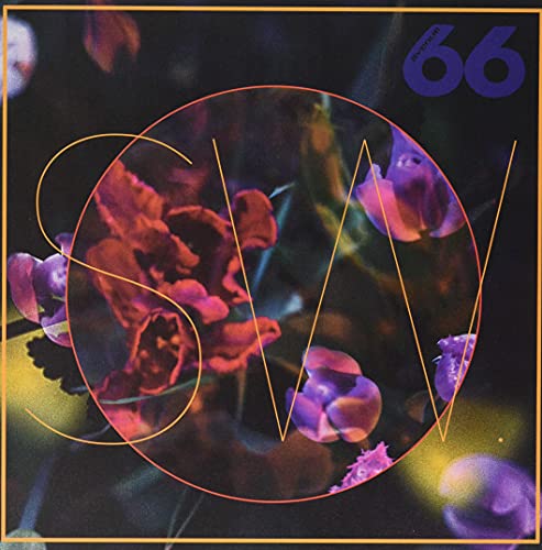 blewLIPs [VINYL] von AVENUE 66