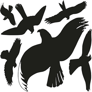 6 AVERY Zweckform Hinweisaufkleber Warnvögel Vogel 7,6 x 12,0 cm von AVERY Zweckform