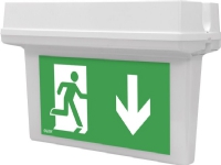 AWEX Emergency lighting HELIOS DS IP65 LED for central battery HDL/1,2W/F/CB/OP - HDL/1,2W/F/CB/OP von AWEX