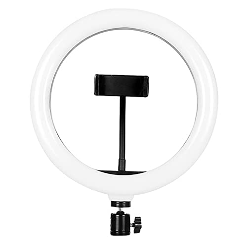10 RGB LED Circle Ringlicht mit Ständer, USB -Fülllampe für Fotografie Make -up YouTube Video, Vlogging Mobiltelefon Selfie Lichter Foto Video Zubehör Blinkt Selfie (Bündel 1) von AYNEFY