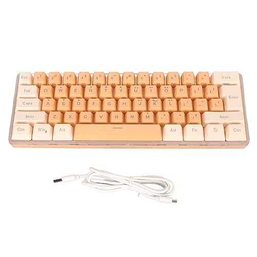 AYNEFY RGB-Gaming-Tastatur, Kompakte 61-Tasten-Tastatur mit 6 Hintergrundbeleuchtungseffekten und Ergonomischem Design für Schreibkräfte, Kompatibel mit 11 10 8 7 Vista, mit (Gelb von AYNEFY