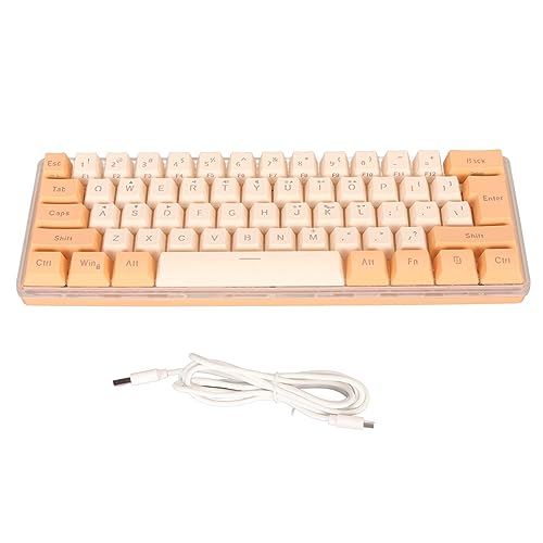 AYNEFY RGB-Gaming-Tastatur, Kompakte 61-Tasten-Tastatur mit 6 Hintergrundbeleuchtungseffekten und Ergonomischem Design für Schreibkräfte, Kompatibel mit 11 10 8 7 Vista, mit (Orange von AYNEFY